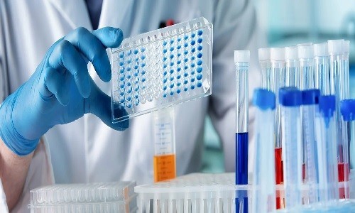 Pharma & Life Sciences